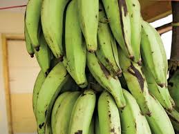 Plantain